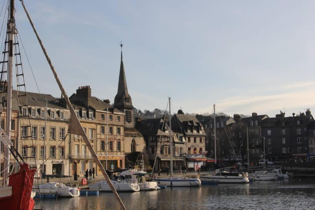 Cosy Studio Place Sainte Catherine 翁弗勒尔 外观 照片