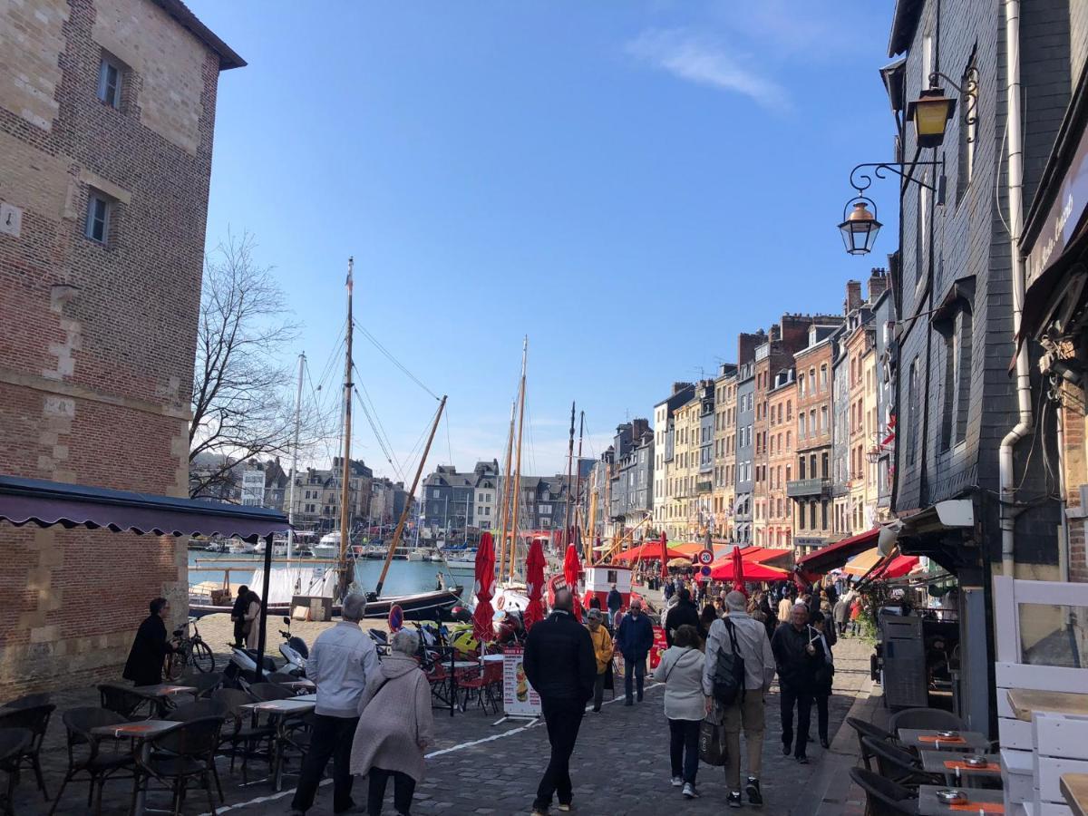Cosy Studio Place Sainte Catherine 翁弗勒尔 外观 照片